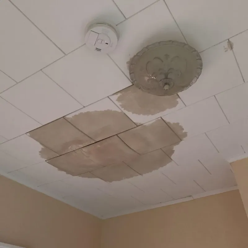 Ceiling Water Damage Repair in Wild Peach Village, TX