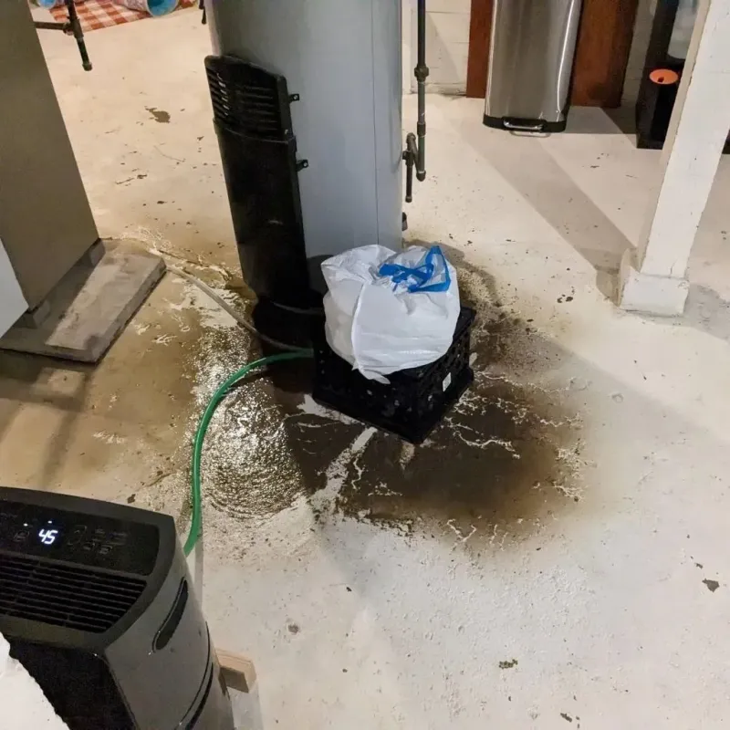 Sewage Backup Cleanup Service in Wild Peach Village, TX